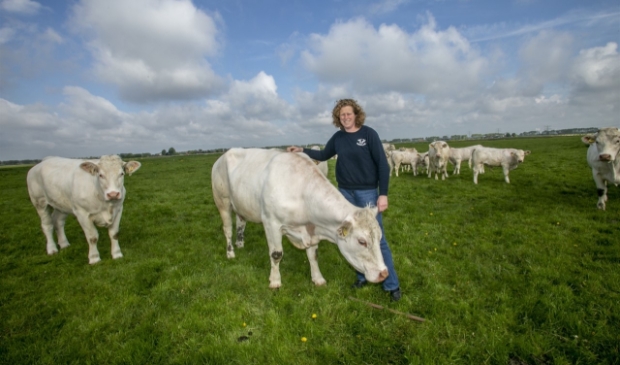 [Koop Lokaal] Charolais Abbenbroek: weten waar je vlees vandaan komt!