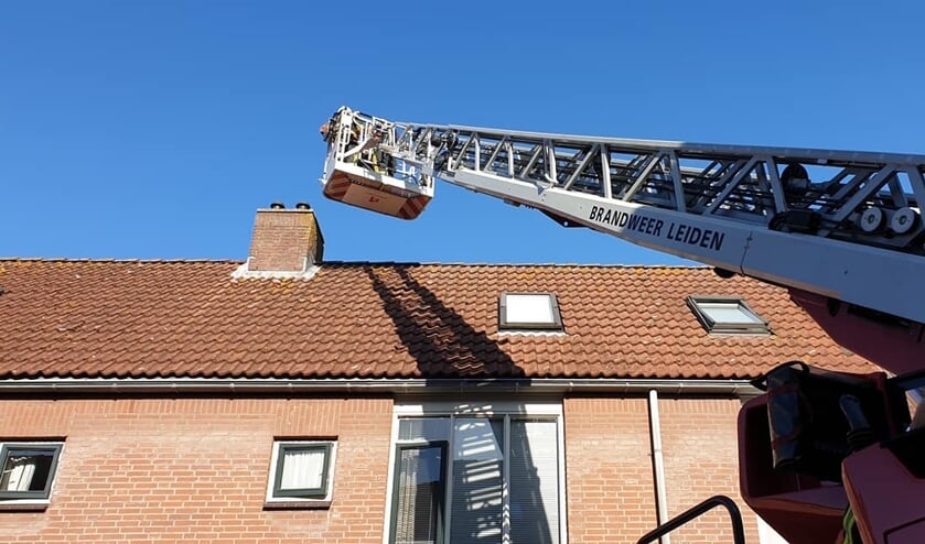Pech, de kat vluchtte weg voor de ladderwagen. Foto: Brandweer Voorschoten