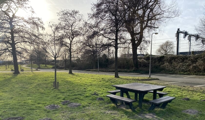 <p>Bij de picknicktafel naast het spoor wordt een Jongeren Ontmoetingsplek (JOP) gemaakt. Foto: VSK</p>