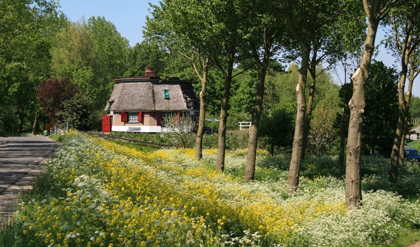 Foto: Cultuur Support Pijnacker-Nootdorp