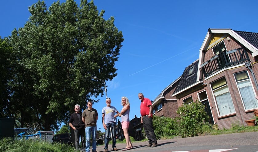 Alle bewoners van het rijtje zitten op één lijn: de bomen zijn prachtig maar te gevaarlijk om te laten staan.
