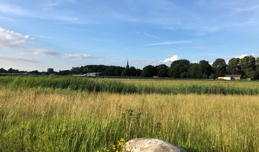 PPN heeft onvoldoende zicht op de werkelijke inrichting van de wijk. (foto: Martijn Mastenbroek)