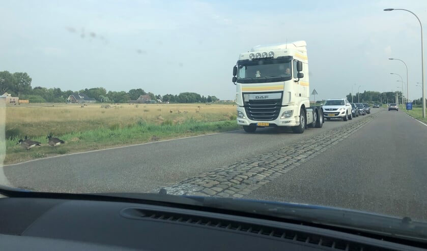 Deze chauffeur zorgde voor een veilige oversteek op de Tuindersweg.