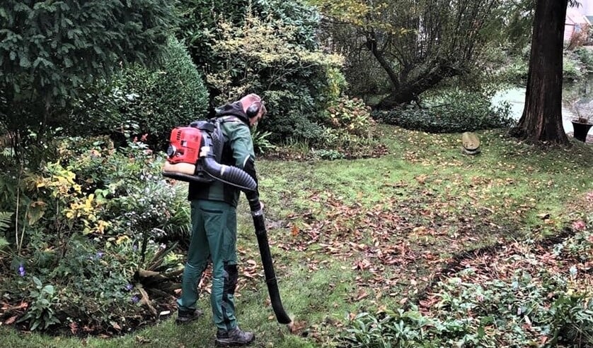<p>Het project bevatte noodzakelijk onderhoud: onkruid verwijderen, uitdunnen van planten en eventueel verplaatsen en snoeien (foto: pr).</p>