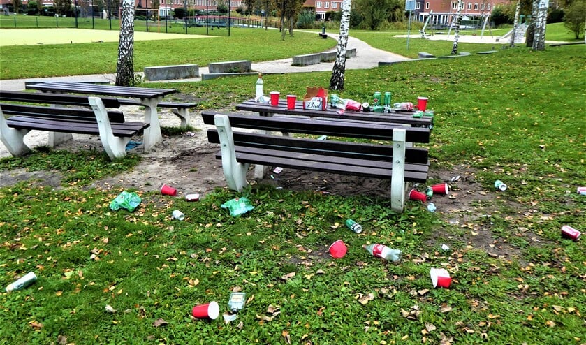 <p>Rommel op en rond de picknicktafels in het park getuigen van een gezellig feestje (foto: Marian Turkesteen). </p>