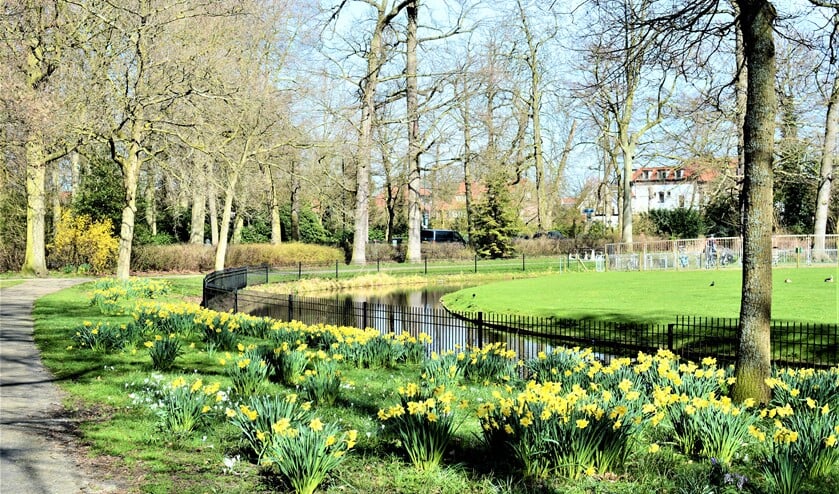 <p>Narcissen in Park Vreugd en Rust (foto: Iris Kaiser).</p>