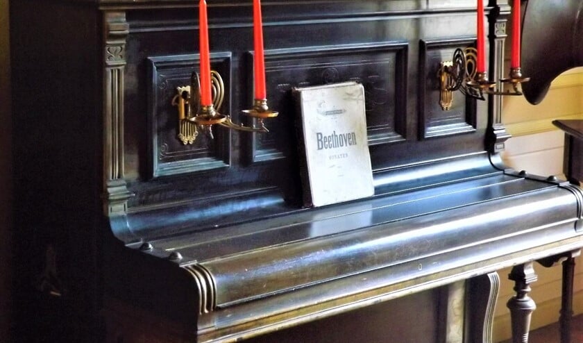 Beethovens pianowerk 'Für Elise' is bekend. Maar wie was Elise? Tijdens het Huygens Festival wordt daar een wedstrijd over georganiseerd.