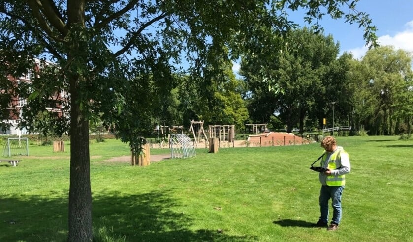 Deze zomer heeft de gemeente de toestand van meer dan 10.000 bomen gecontroleerd (foto: gemeente LV).