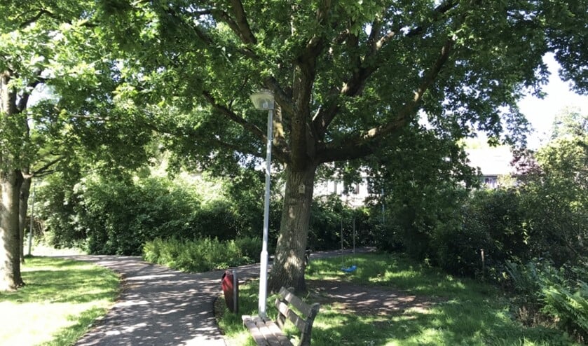 <p>(foto: gemeente LV).</p>