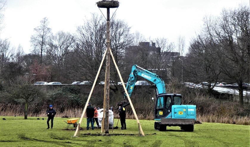 <p>Vandaag hebben medewerkers van www.ooievaarsnesten.nl het oude nest bij Molen de Vlieger neergehaald en een nieuw nest geplaatst (foto: Marian Turkesteen).</p>