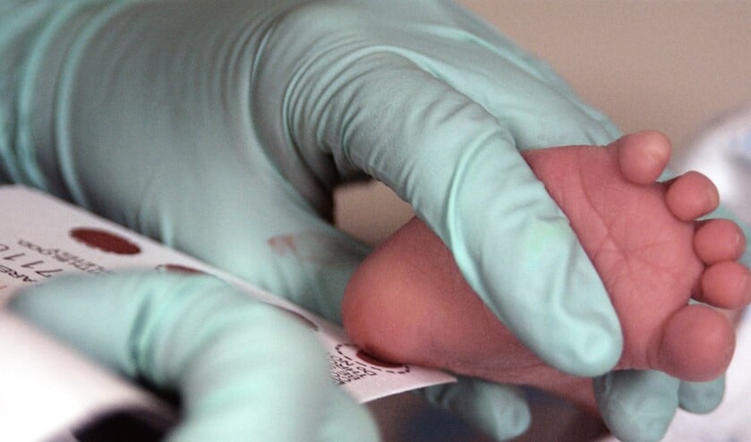 <p>X-gebonden agammaglobulinemie (XLA) kan vroegtijdig opgespoord worden via de hielprik bij pasgeboren baby's (foto: Eric T. Sheler).</p>