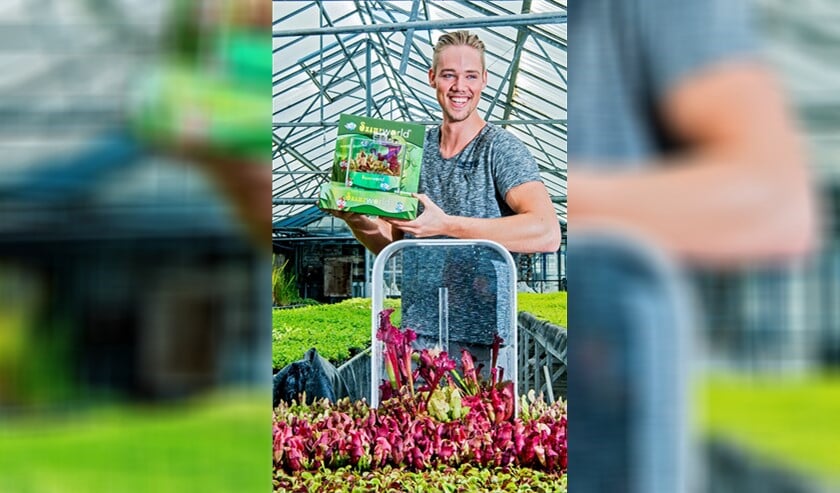 <p>Chris van der Velde verkoopt terrariums met vleesetende planten als de oplossing tegen muggen. Foto: Frank de Roo</p>