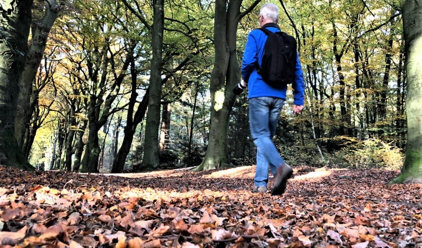 <p>SenW organiseert een historische wandelspeurtocht voor 55-plussers door het centrum van Voorburg.</p>