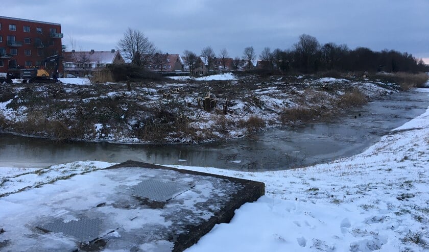<p>De vegetatie op de Zegwaardlocatie moet wijken voor woningbouw. (foto: Michel Barendse) </p>
