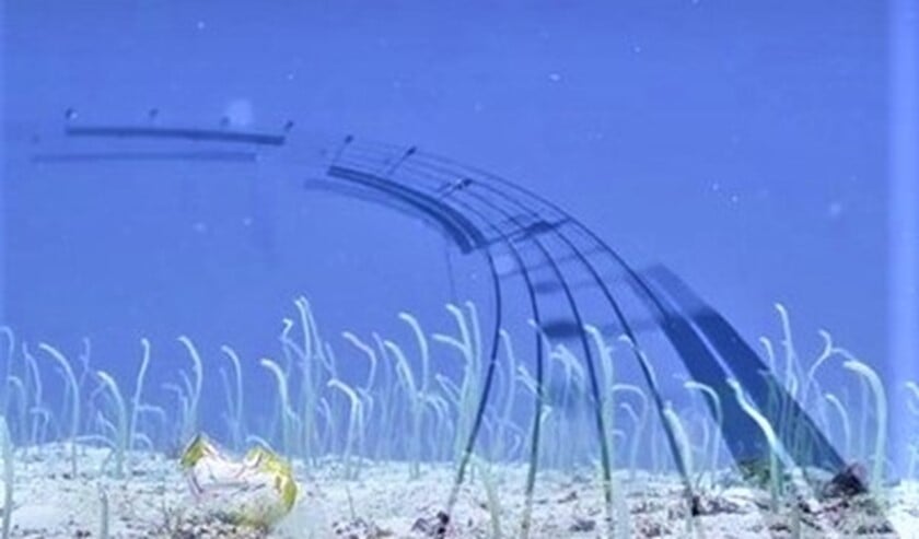 <p>Voor de wedstrijd voor jonge componisten wordt het Aquarium als uitgangspunt genomen, maar dan op een heel andere wijze. </p>