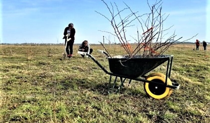 <p>Kom ook helpen met de aanplant van Voedselbuurtbos GeuzeGroen (foto: Hans Spil).</p>
