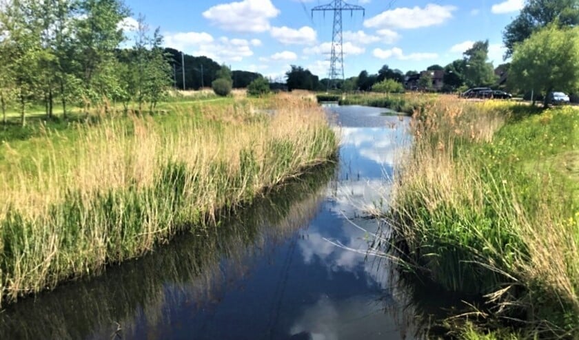 <p>Het Waterspoorpark is een strook langs de Nicolaas Beetslaan in Voorburg van ongeveer 4,5 km lang om de hond uit te laten, te wandelen en te spelen (foto: gemeente LV). </p>