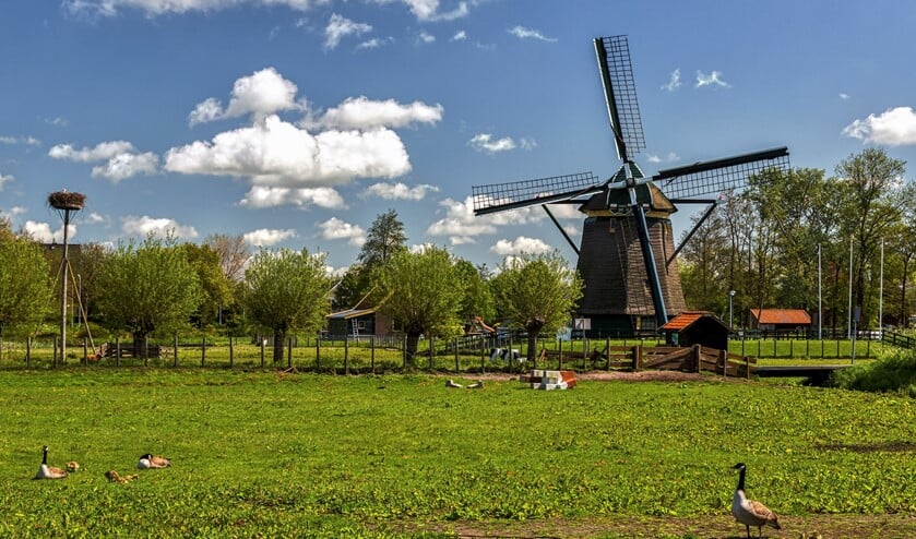 <p>Molen de Vlieger (foto: Charles Groeneveld).</p>
