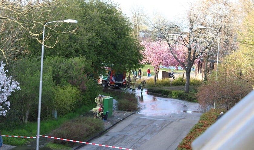 <p>Foto: Aike Zeewuster</p>