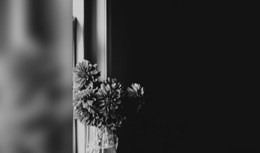 <p>Foto: Flora Westbrook</p>