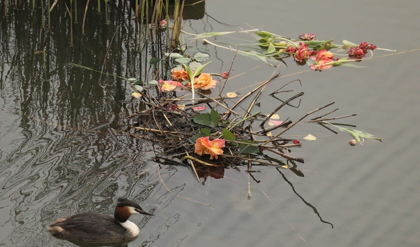<p>Foto: Gerard van Herk</p>