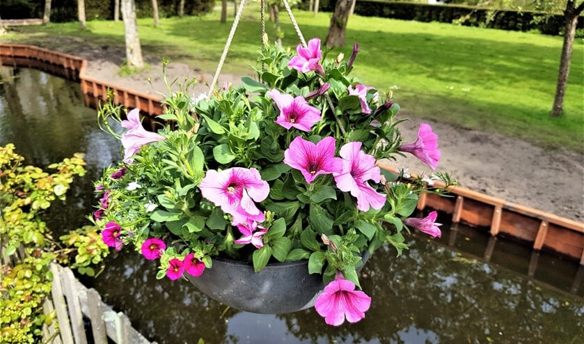 (foto: Mirjam Hendriks).