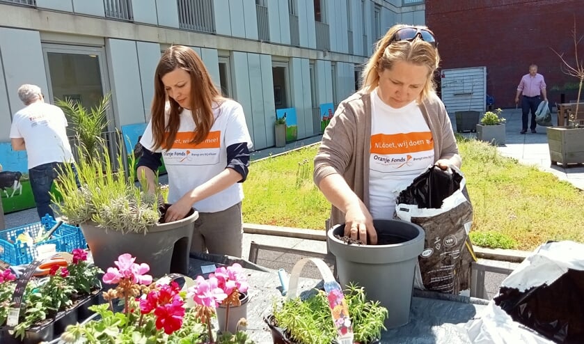 <p>Wethouders Marieke van Bijnen en Ilona Jense-van Haarst gingen aan de slag bij Pieter van Foreest.</p>