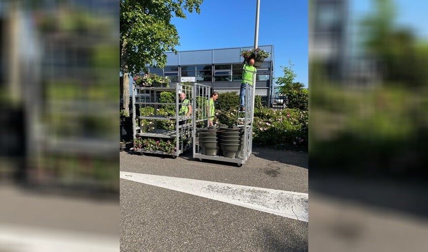 <p>Het hele bedrijvenpark is volop in de bloemen gezet. Op alle wegen zijn hanging baskets opgehangen en bij de entree staat een fraaie bloemenzuil.</p>
