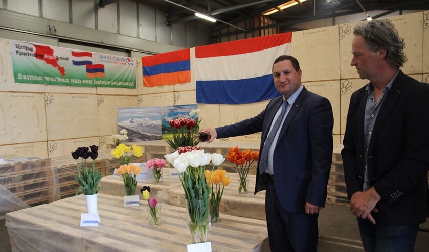<p>Ambassadeur Tigran Balayan doopt de witte tulp Aragats, onder toeziend oog van Klaas Peter de Geus van Maveridge Blooming Colors.</p>