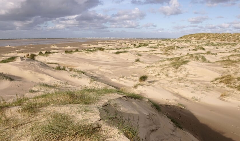 <p>Jong duin bij Texel</p>