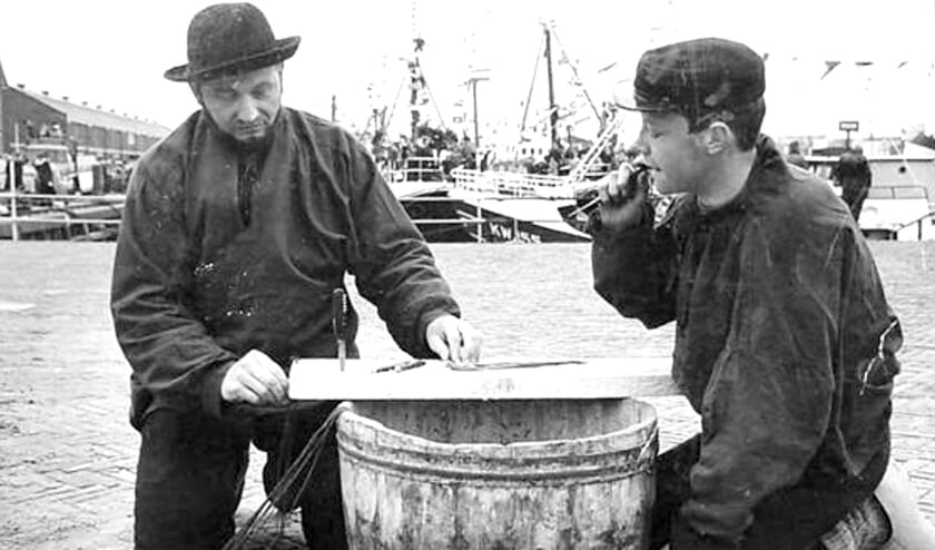 <p>Prikkebijter Nationaal Visserijmuseum Oostduinkerke</p>