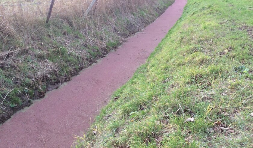 <p>Dichtgegroeide sloot door overmaat aan meststoffen in het water.</p>