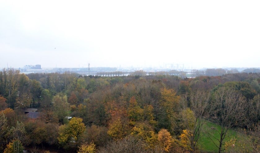 <p>Molens die ter hoogte van de zendmast geplaatst worden komen te dicht bij de bebouwing.</p>