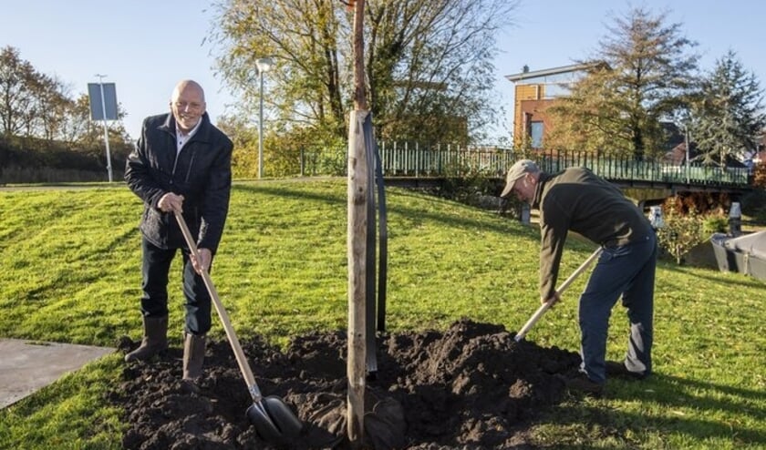 <p>Wethouder Snijders plant boom. Foto: (PR/ Thierry Schut)</p>