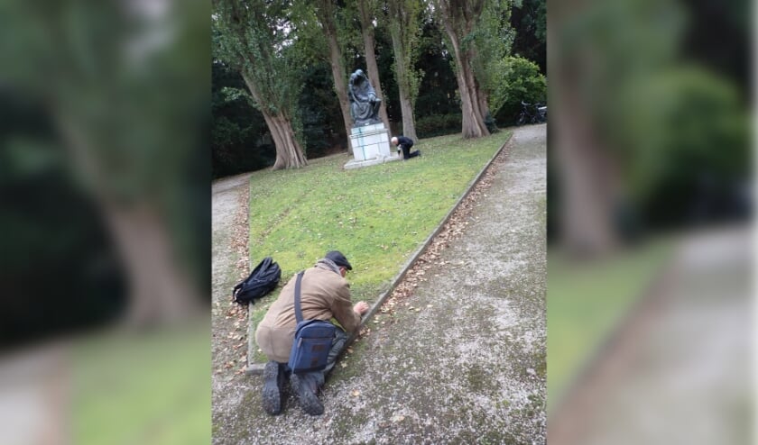 <p>Natuurlijk Delfland heeft een inventarisatie van mossen uitgevoerd op de begraafplaats aan de Dijkweg in Naaldwijk. Foto: (PR)</p>
