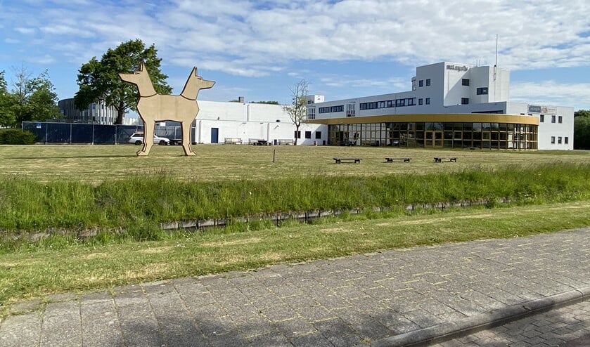 <p>Foto: Wil van Balen</p>