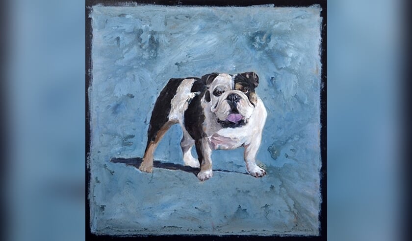 Buldog "John", 100 x 100 cm olieverf op doek.