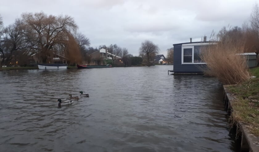 <p> De VVD wil onderzoek naar meer woonboten in Westland. Foto: (WB)</p>