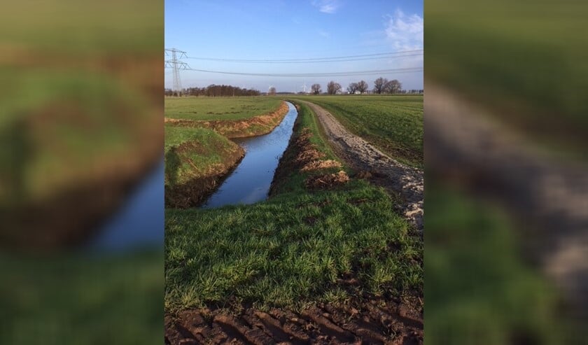 <p>Ruiters trokken al eerder aan de bel over de onbegaanbare ruiterpaden. </p>