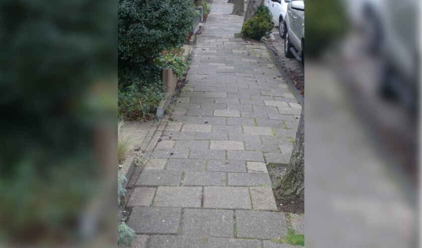 <p>Worteldruk maakt de stoep ter hoogte van de Groenelaan in Honselersdijk oneffen. Foto: (PR)</p>