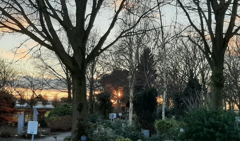 <p>De lokale uitvaartverzorgers zijn zich rot geschrokken van de recente verhoging van de begraafplaatstarieven in Westland. Foto: (WB)</p>