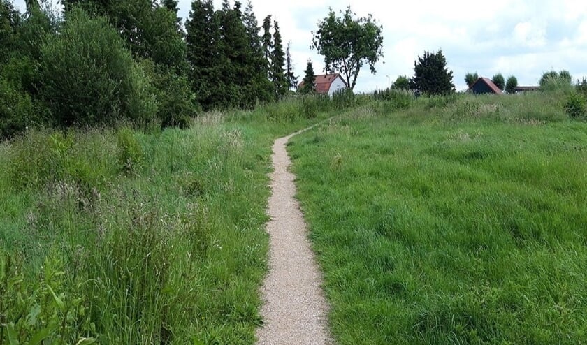 <p>Foto: (Gemeente Westland)</p>