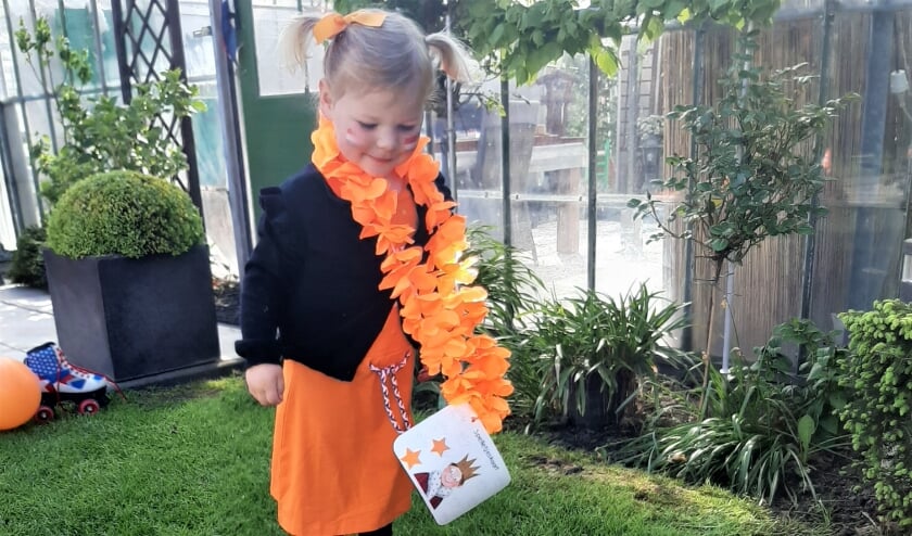 <p>Koningsdag 2021 kan best een feestje worden, als je zelf de slingers 'omhangt'. Foto: (PR)</p>
