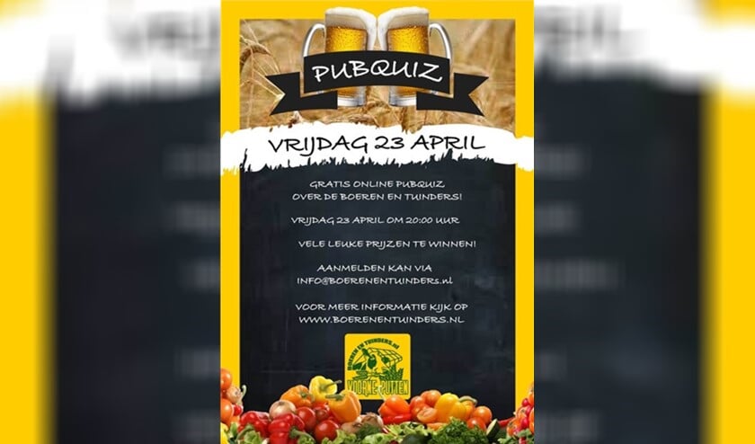 <p>De pubquiz vindt online plaats</p>