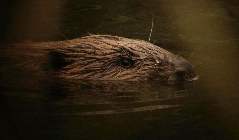 <p>Michael neemt je op Instagram mee op reis: @nature_by_michael</p>