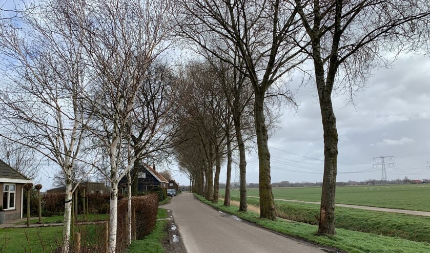 <p>Water Natuurlijk wil meer onderzoek voordat de bomen gekapt worden.</p>