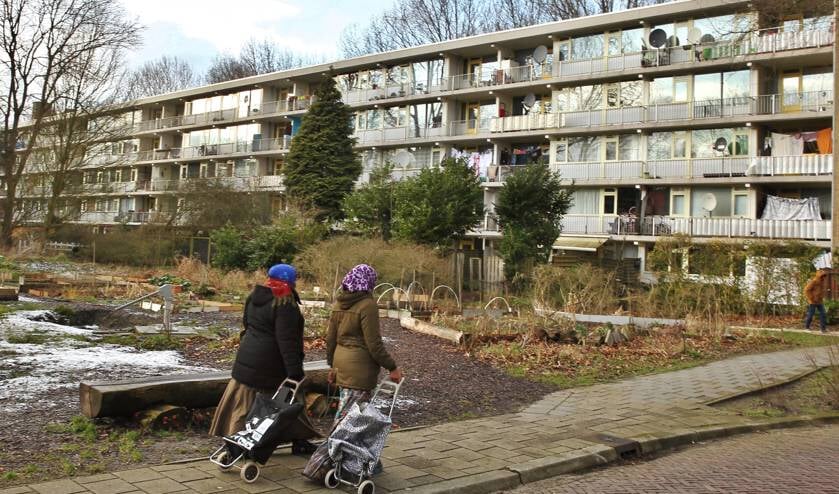 Van de 651 Delftenaren van met Somalische afkomst, wonen er 274 in Buitenhof. In Voorhof zijn dat er 264, blijkt uit cijfers van de gemeente. (foto: archief)