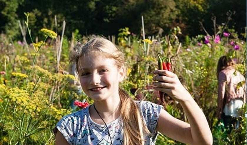 <p>Schooltuinen staan voor breed natuuronderwijs </p>