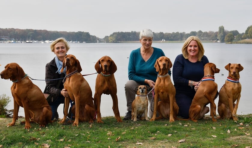 <p>Andrea Nagy, Annette Stolk en Henriëtte Niessing van Stichting Dierenhulp Hongarije met hun honden</p>