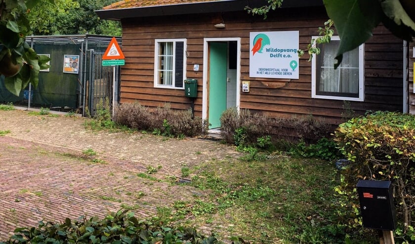 <p>Bij Wildopvang Delft is al enige tijd een gebrek aan ruimte én financiële middelen </p>